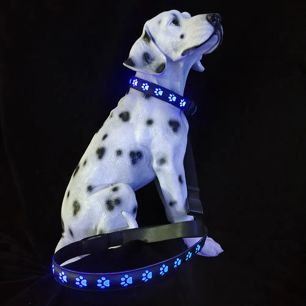 Reguliuojamas PVC Oda Led Šunų Antkaklis USB Įkrovimo Šviesos Iki 7 Spalvų Šviesos Mirksi Žėrintis Led Naminių Šunų Antkaklis Nuotrauka 5