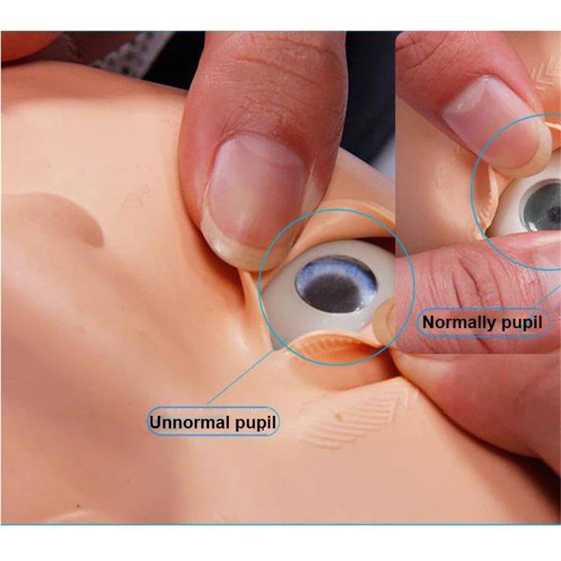 70x22x34cm Krūtinė CPR Mokymo Manikin Profesinės Slaugos Mokymo Manekenas Medicininio Modelio Žmogaus Pirmosios Pagalbos Mokymo Modelis Naujas Nuotrauka 2