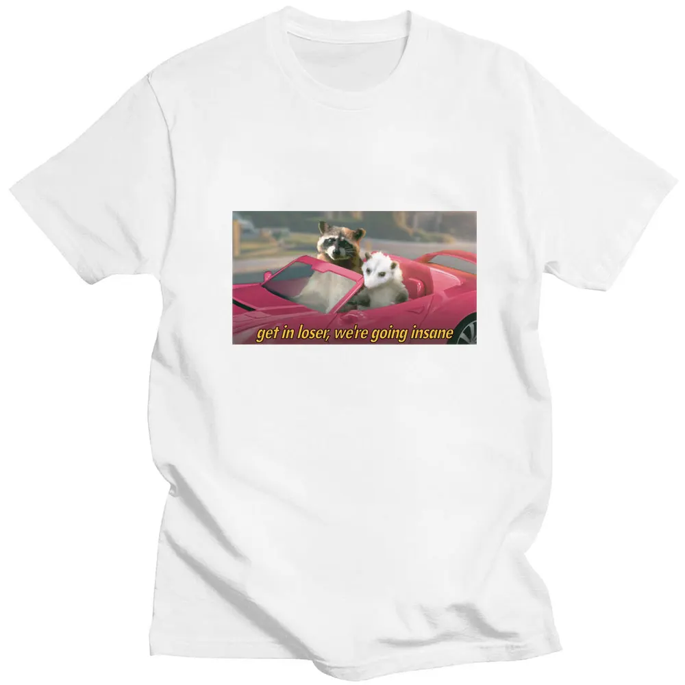 Gauti Nevykėlis Mes psichiškai Nesveikas marškinėliai Juokinga Meškėnas Possum Meme Spausdinti Laisvi Vyrai moterų marškinėliai Mados Medvilnės Atsitiktinis Marškinėliai Nuotrauka 3