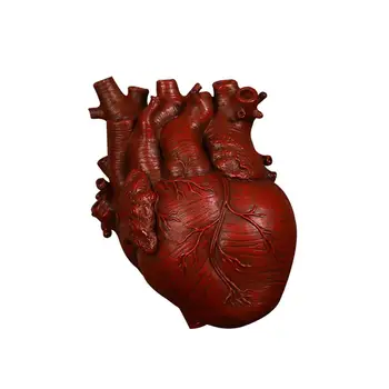 Anatominiai Širdies Vaza Dervos Statula Vazonas Ornamentu Aukso 15x10 5x21CM