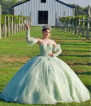 Mėtos žalumo Princesė Quinceanera Suknelės su ilgomis Rankovėmis Brangioji Iškaulinėjimas Plunksnų Prom Saldus 15 vestido xv años