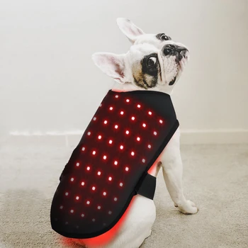 Veterinarijos naudoti Raudona LED šviesos terapija ir reabilitacija įranga Pet skausmą malšinančius skausmą, sumažinti šviesos terapija kailio šunims